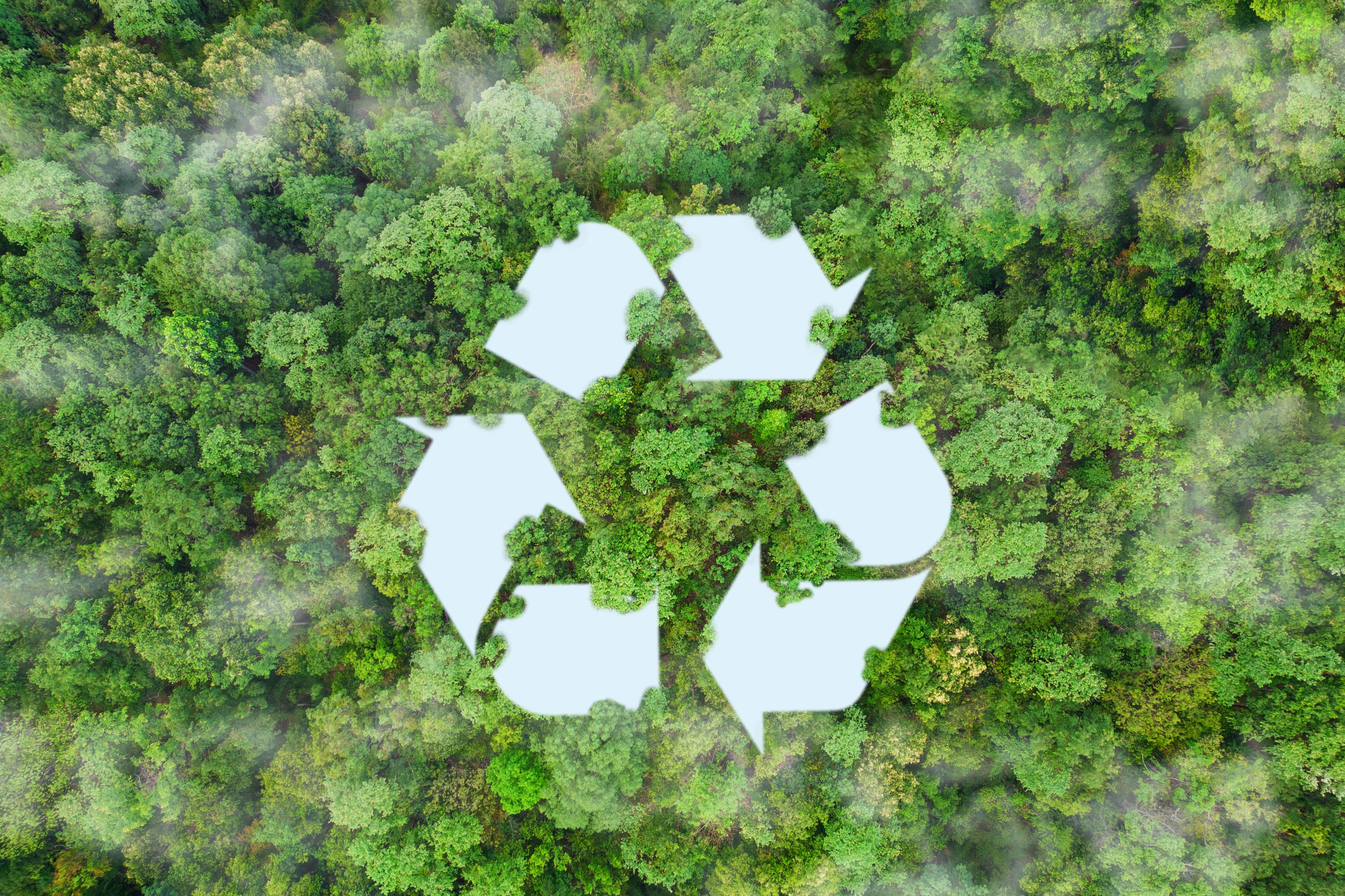 Biokohle auf Palette — versandfertig für weitere Industrien
